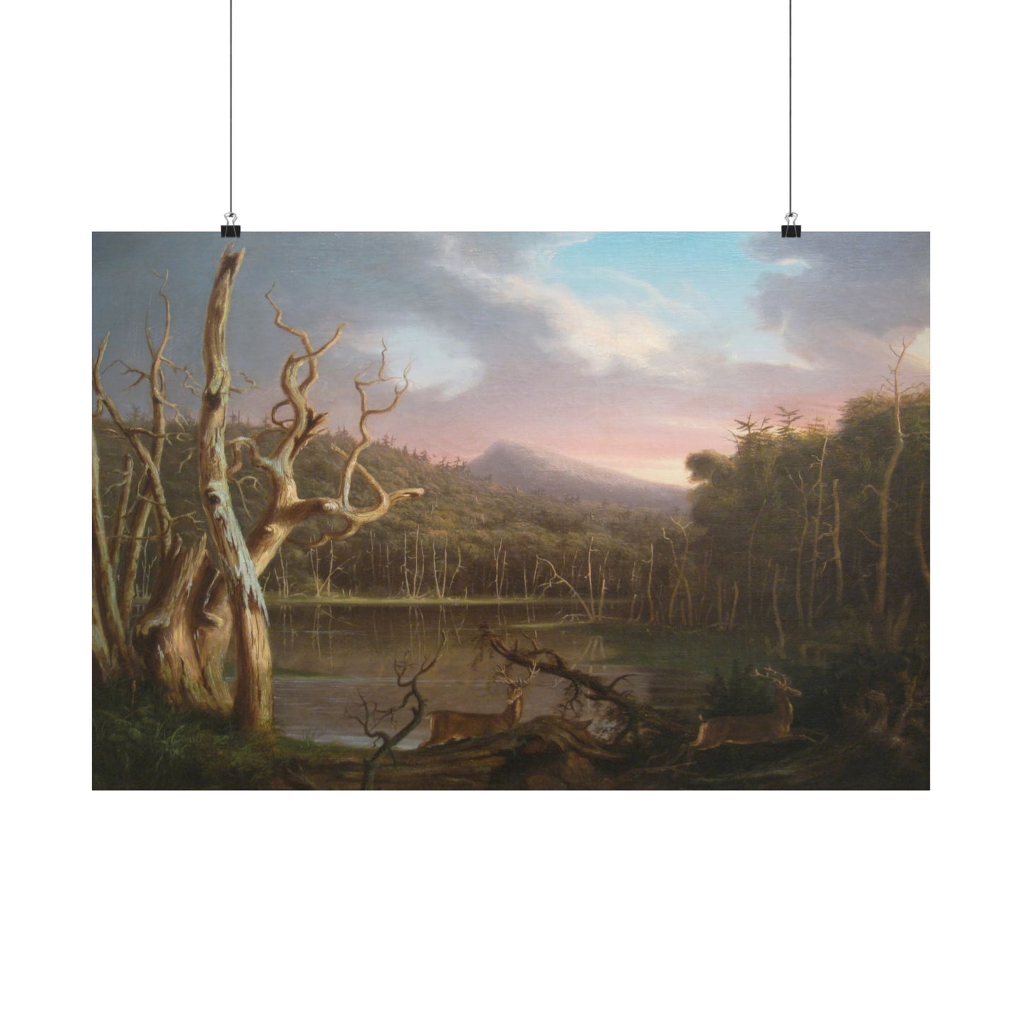 Cole. Thomas - Lake with Dead Trees (1825) - Satin Posters