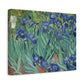 Van Gogh, Vincent - Irises (1889) - Canvas Block, unframed