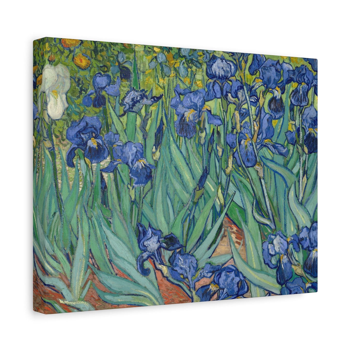 Van Gogh, Vincent - Irises (1889) - Canvas Block, unframed