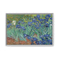 Van Gogh, Vincent - Irises (1889) - Matte Canvas, Framed
