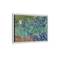 Van Gogh, Vincent - Irises (1889) - Matte Canvas, Framed