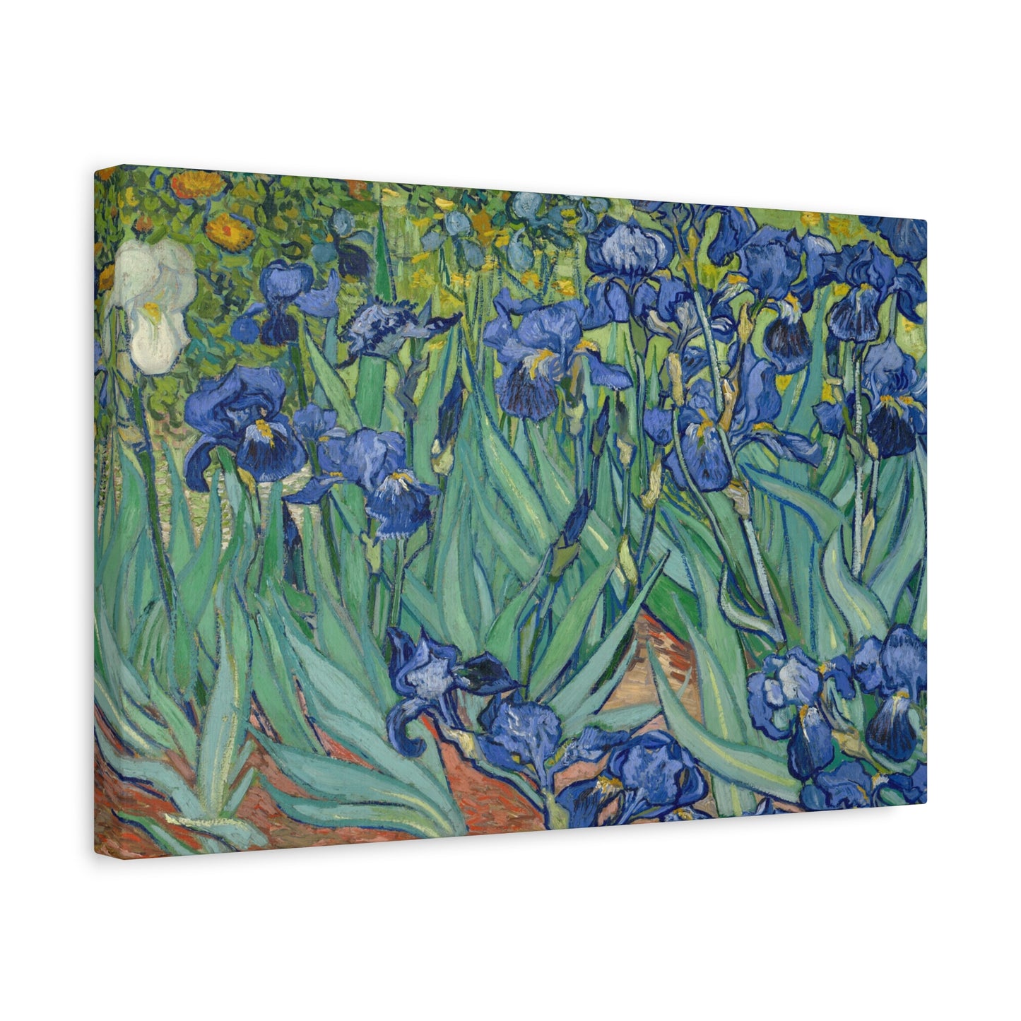 Van Gogh, Vincent - Irises (1889) - Canvas Block, unframed