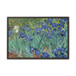 Van Gogh, Vincent - Irises (1889) - Matte Canvas, Framed