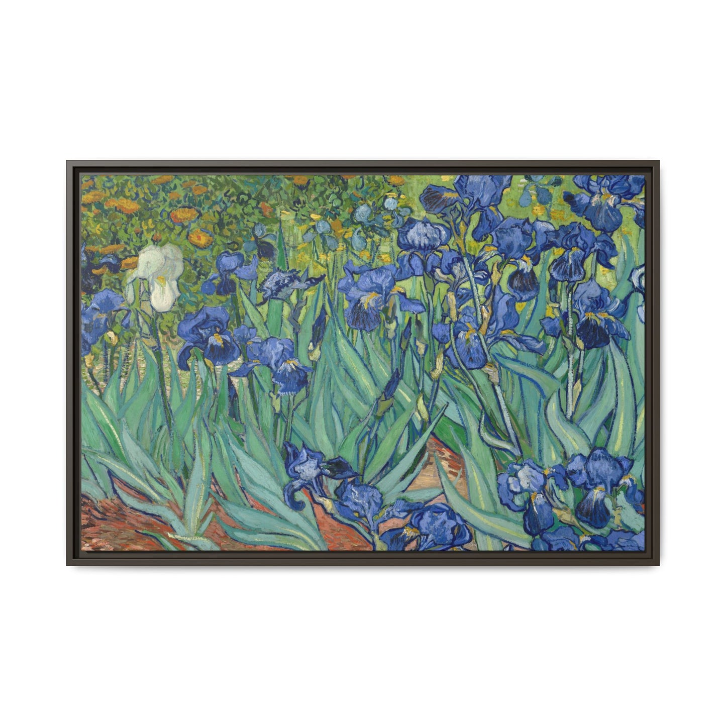 Van Gogh, Vincent - Irises (1889) - Matte Canvas, Framed