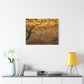 Ranson, Paul - Apple Tree with Red Fruit (1902) - Canvas Block, unframed