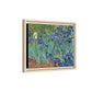 Van Gogh, Vincent - Irises (1889) - Matte Canvas, Framed