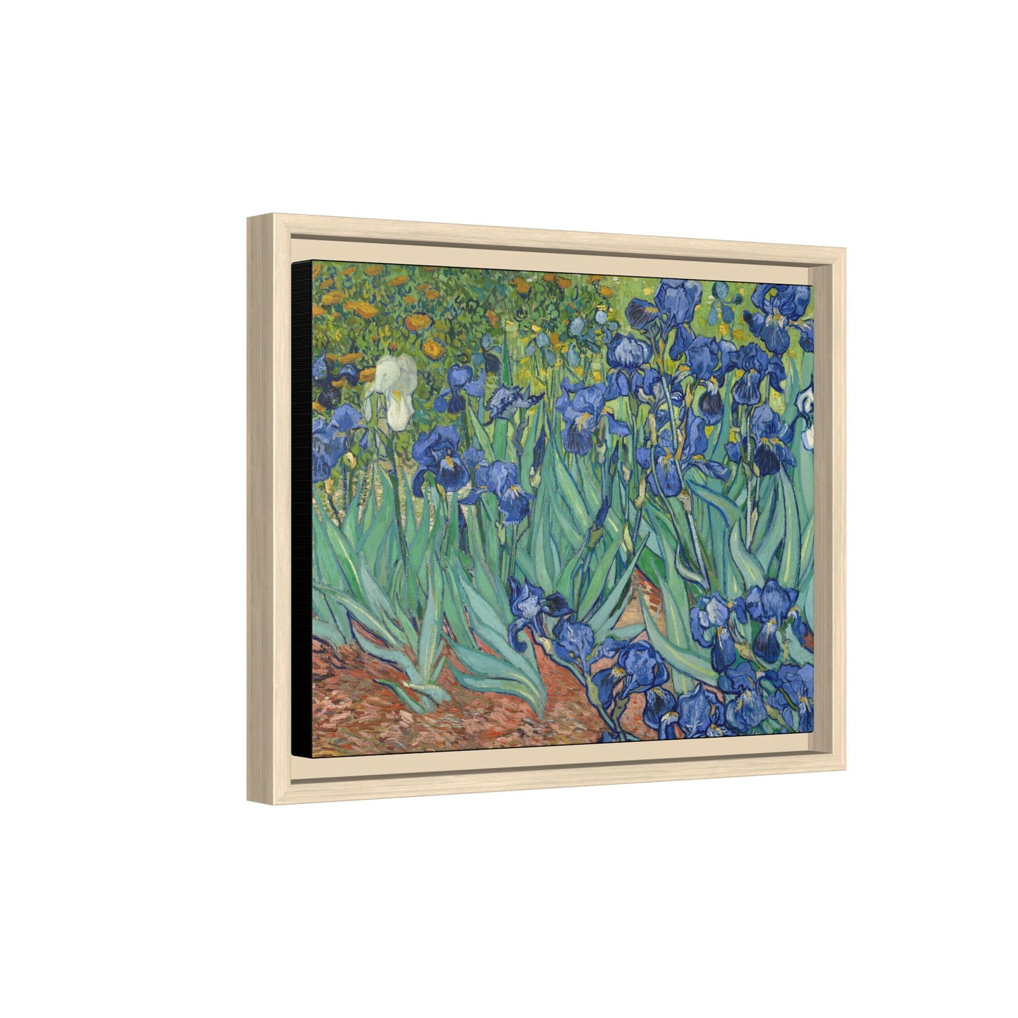 Van Gogh, Vincent - Irises (1889) - Matte Canvas, Framed