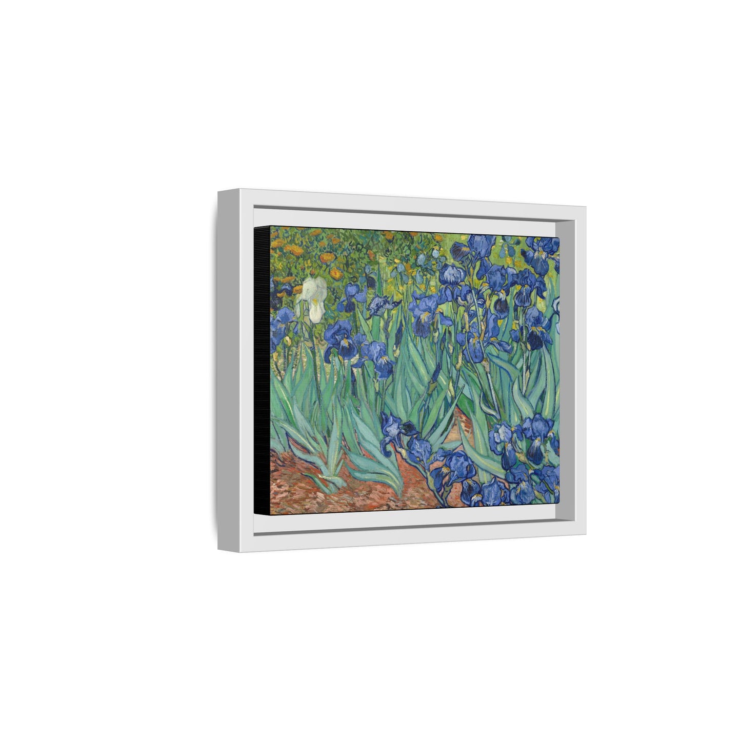 Van Gogh, Vincent - Irises (1889) - Matte Canvas, Framed