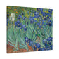 Van Gogh, Vincent - Irises (1889) - Canvas Block, unframed