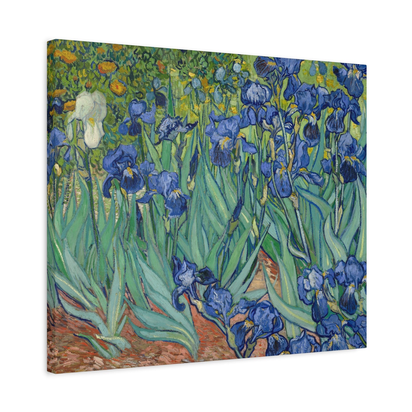 Van Gogh, Vincent - Irises (1889) - Canvas Block, unframed