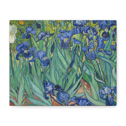 Van Gogh, Vincent - Irises (1889) - Canvas Block, unframed