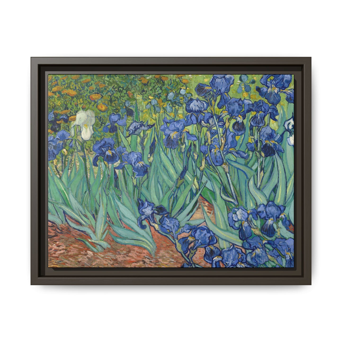 Van Gogh, Vincent - Irises (1889) - Matte Canvas, Framed