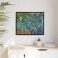 Van Gogh, Vincent - Irises (1889) - Matte Canvas, Framed