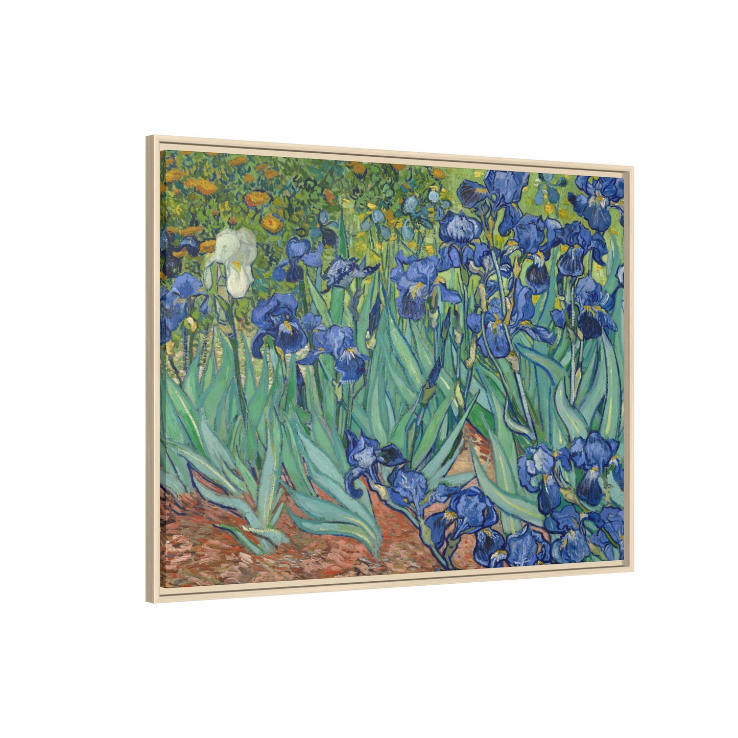 Van Gogh, Vincent - Irises (1889) - Matte Canvas, Framed