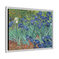 Van Gogh, Vincent - Irises (1889) - Matte Canvas, Framed