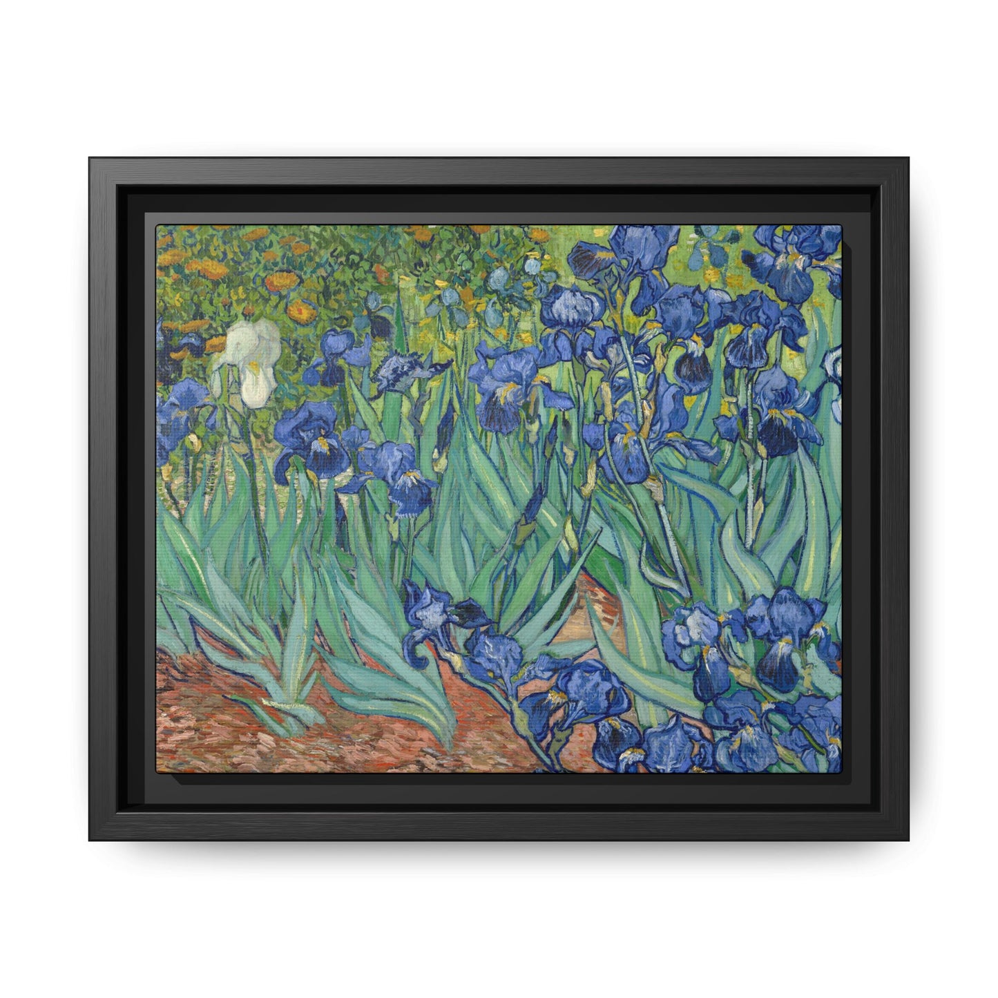 Van Gogh, Vincent - Irises (1889) - Matte Canvas, Framed