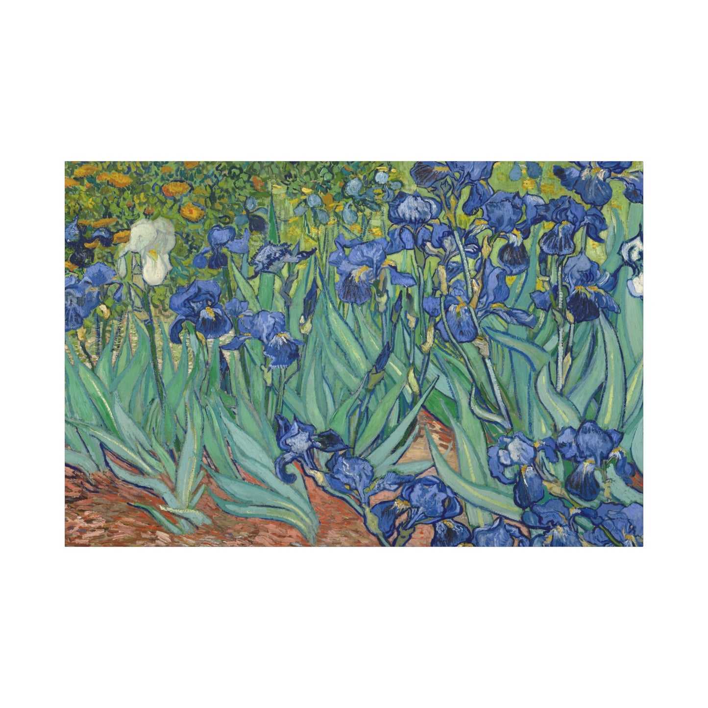Van Gogh, Vincent - Irises (1889) - Canvas Block, unframed