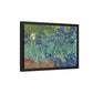 Van Gogh, Vincent - Irises (1889) - Matte Canvas, Framed