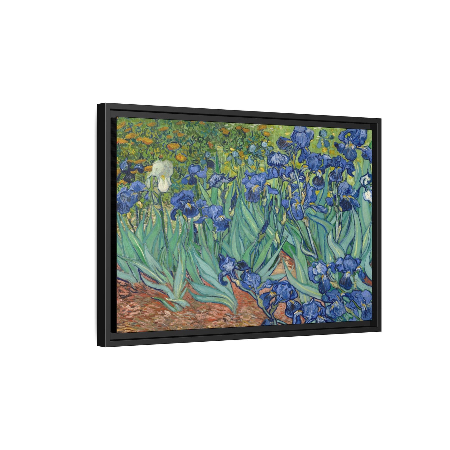 Van Gogh, Vincent - Irises (1889) - Matte Canvas, Framed
