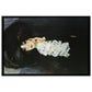 Van Dongen, Kees - Woman with Frill (1905) - 1000pc Jigsaw Puzzle
