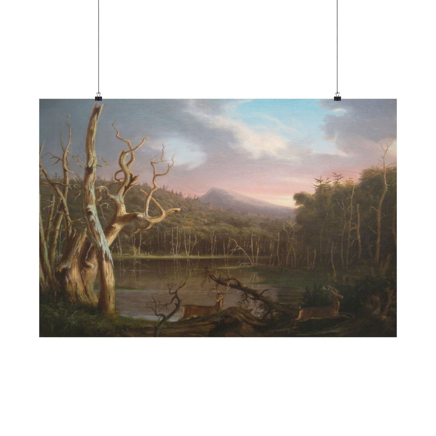 Cole. Thomas - Lake with Dead Trees (1825) - Satin Posters