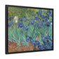 Van Gogh, Vincent - Irises (1889) - Matte Canvas, Framed