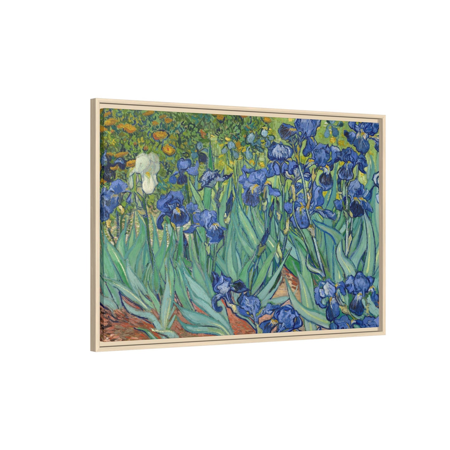 Van Gogh, Vincent - Irises (1889) - Matte Canvas, Framed
