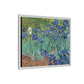 Van Gogh, Vincent - Irises (1889) - Matte Canvas, Framed
