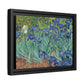 Van Gogh, Vincent - Irises (1889) - Matte Canvas, Framed