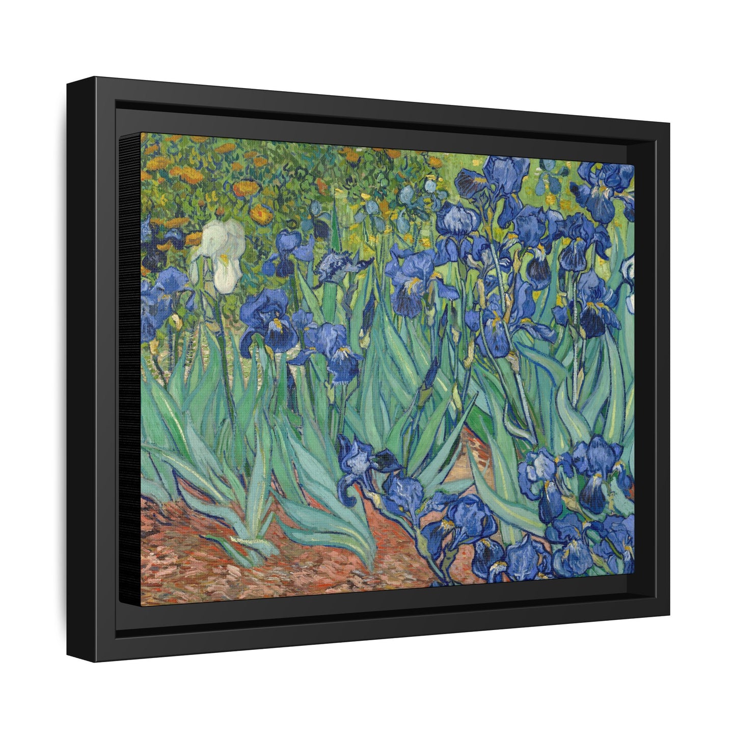 Van Gogh, Vincent - Irises (1889) - Matte Canvas, Framed
