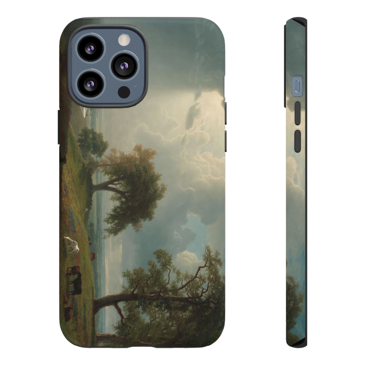 Bierstadt, Albert - California Spring (1875) - Tough Phone Cases
