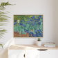 Van Gogh, Vincent - Irises (1889) - Matte Canvas, Framed