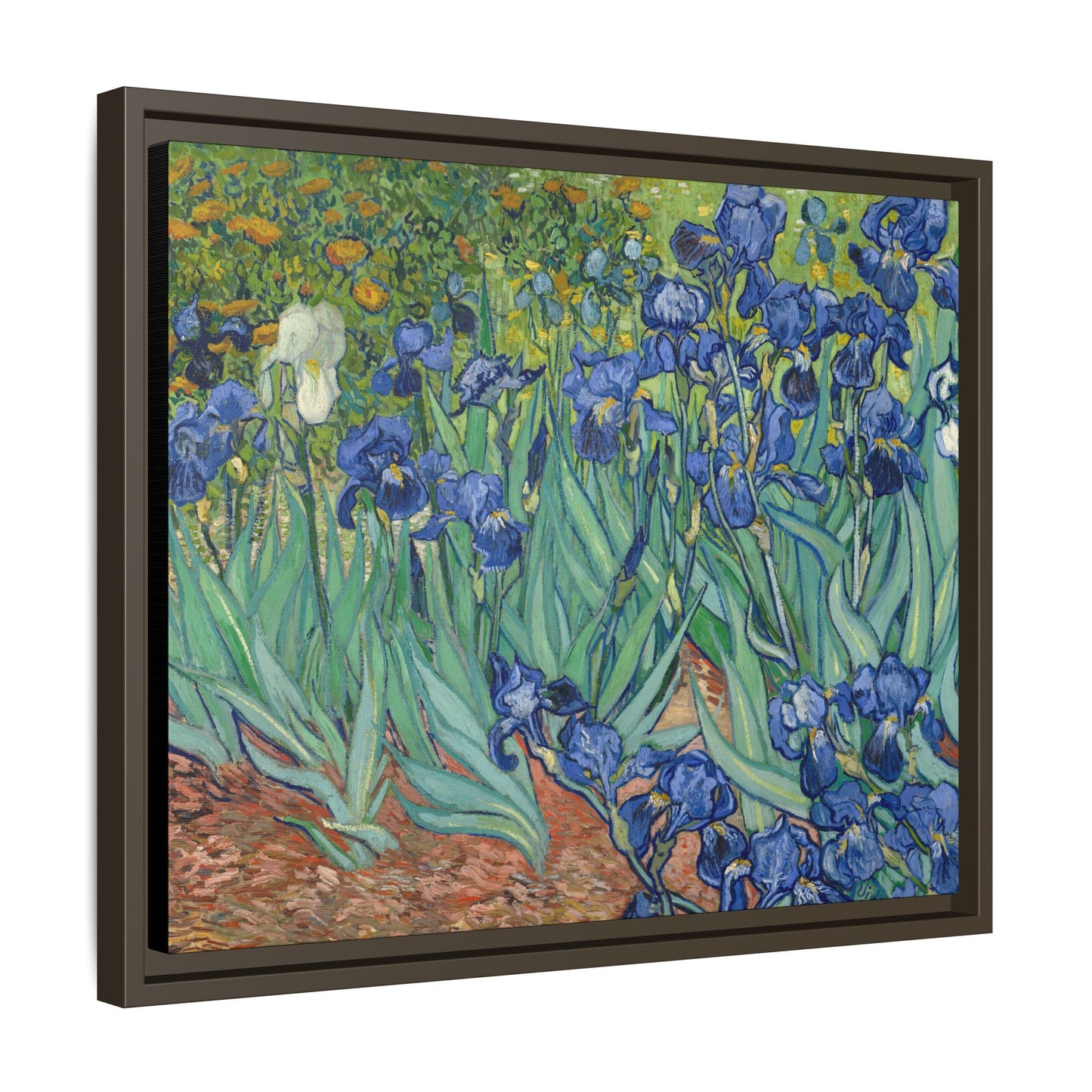 Van Gogh, Vincent - Irises (1889) - Matte Canvas, Framed