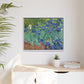 Van Gogh, Vincent - Irises (1889) - Matte Canvas, Framed