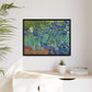 Van Gogh, Vincent - Irises (1889) - Matte Canvas, Framed