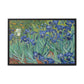 Van Gogh, Vincent - Irises (1889) - Matte Canvas, Framed