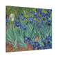 Van Gogh, Vincent - Irises (1889) - Canvas Block, unframed