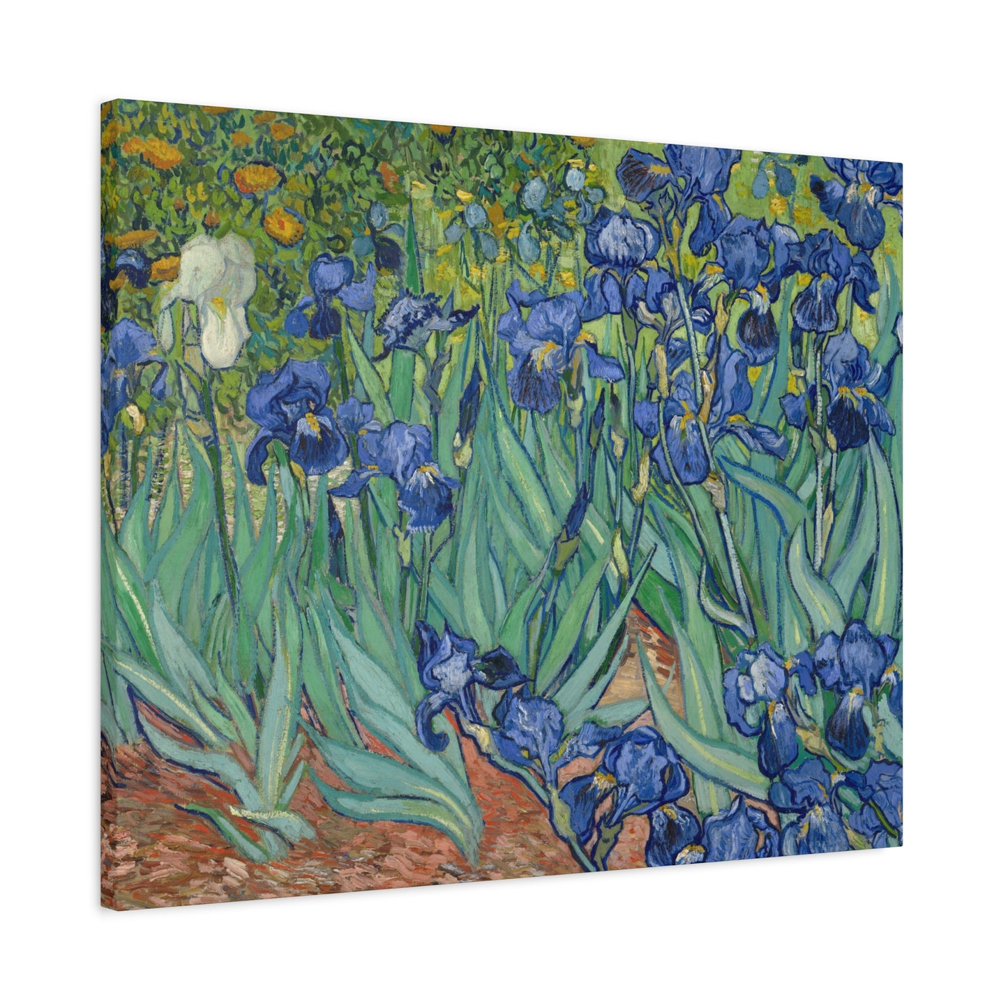 Van Gogh, Vincent - Irises (1889) - Canvas Block, unframed