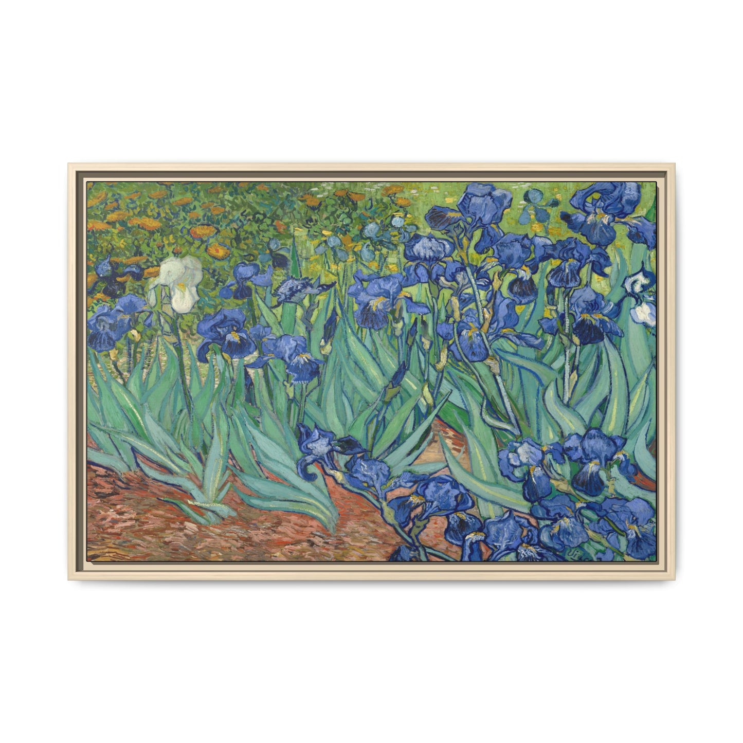 Van Gogh, Vincent - Irises (1889) - Matte Canvas, Framed