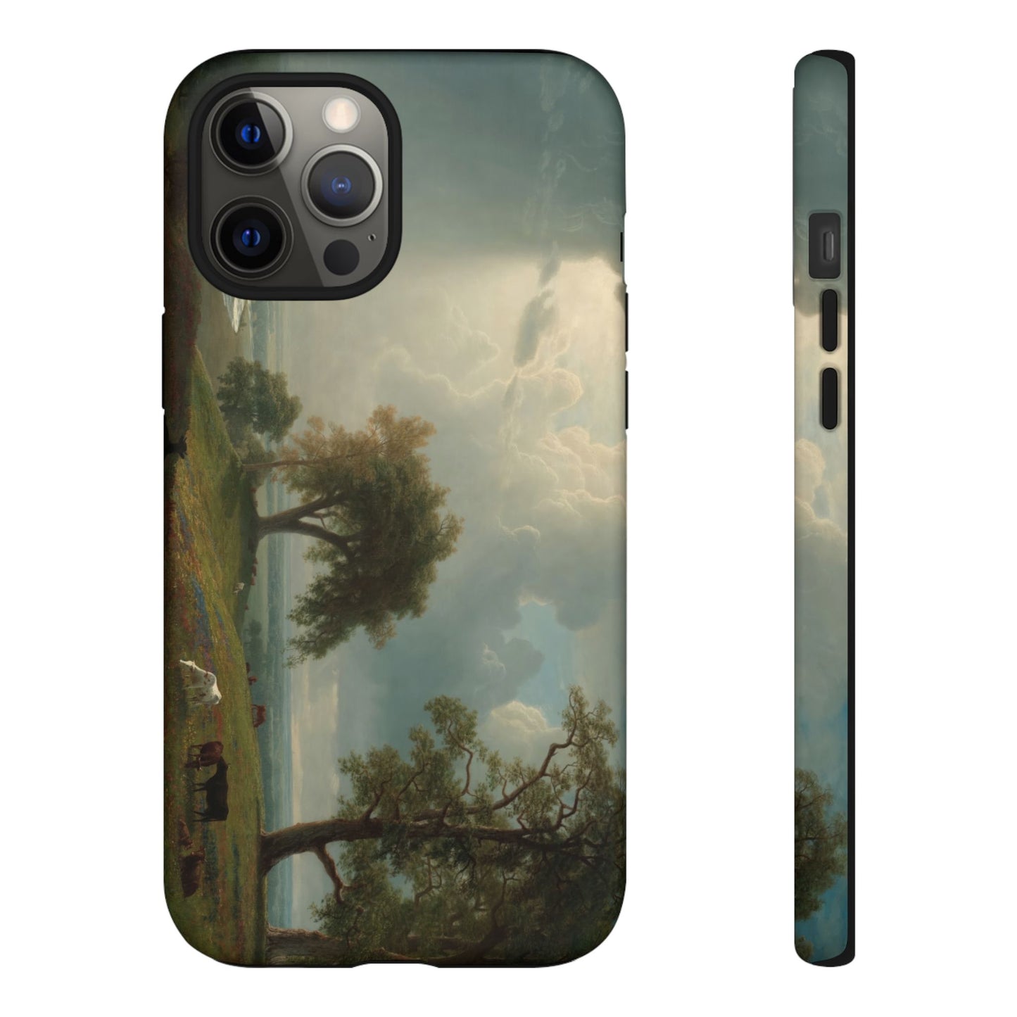 Bierstadt, Albert - California Spring (1875) - Tough Phone Cases