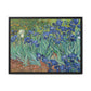 Van Gogh, Vincent - Irises (1889) - Matte Canvas, Framed