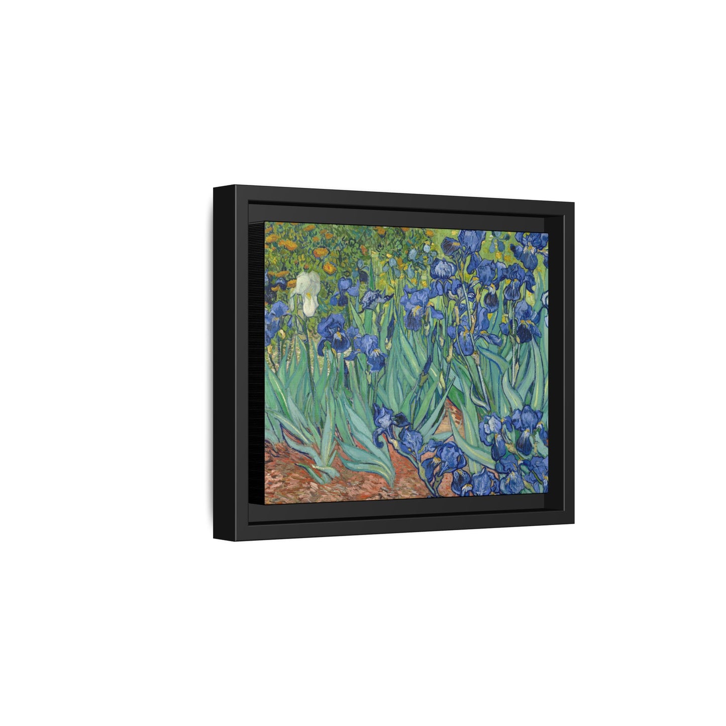 Van Gogh, Vincent - Irises (1889) - Matte Canvas, Framed