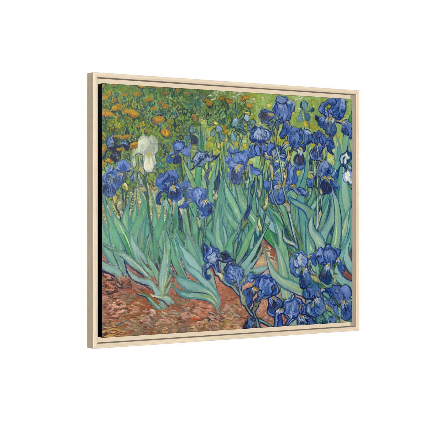 Van Gogh, Vincent - Irises (1889) - Matte Canvas, Framed