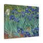 Van Gogh, Vincent - Irises (1889) - Canvas Block, unframed