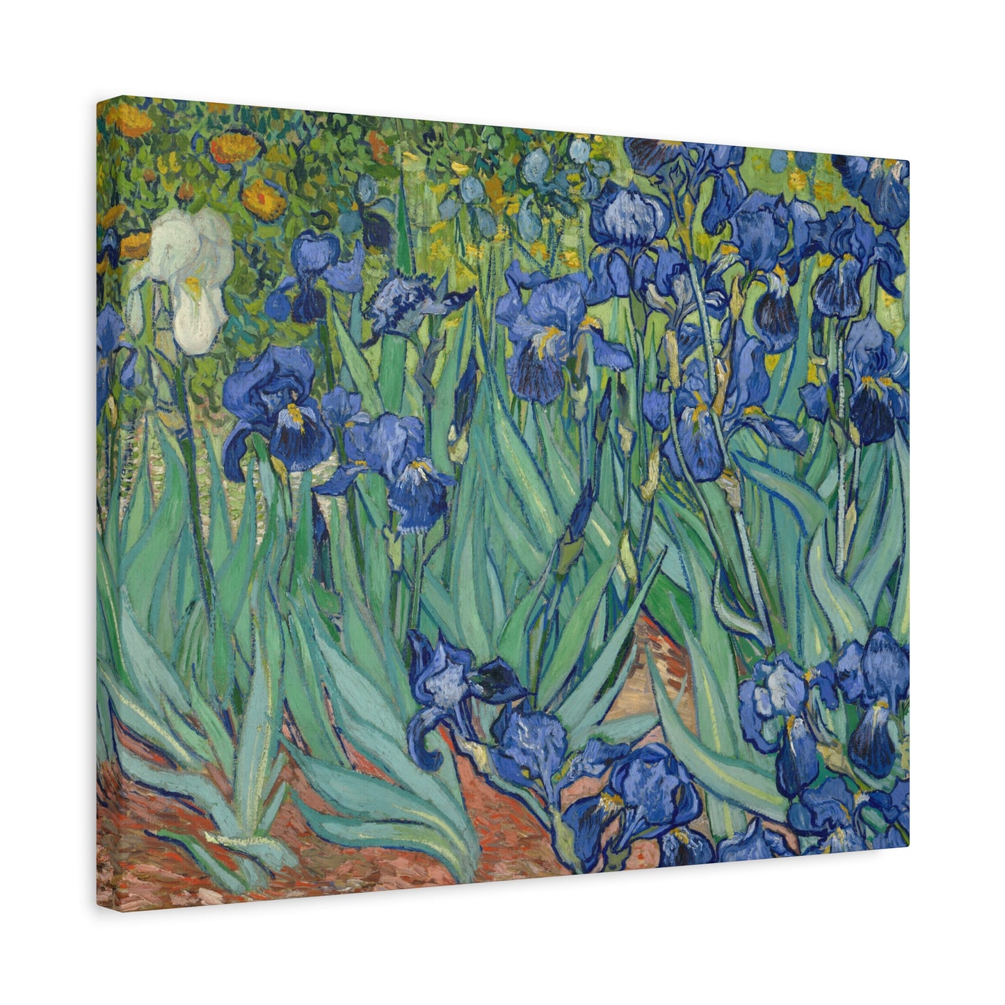 Van Gogh, Vincent - Irises (1889) - Canvas Block, unframed