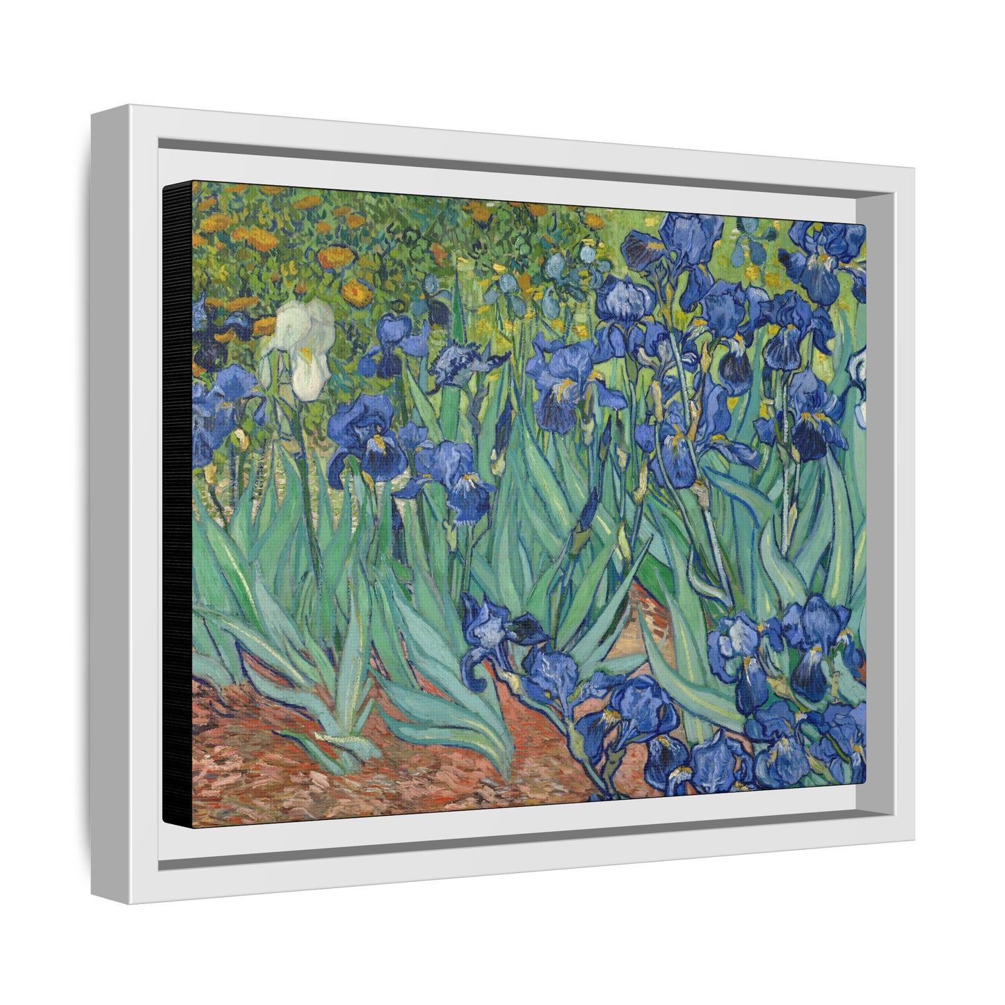 Van Gogh, Vincent - Irises (1889) - Matte Canvas, Framed