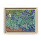 Van Gogh, Vincent - Irises (1889) - Matte Canvas, Framed