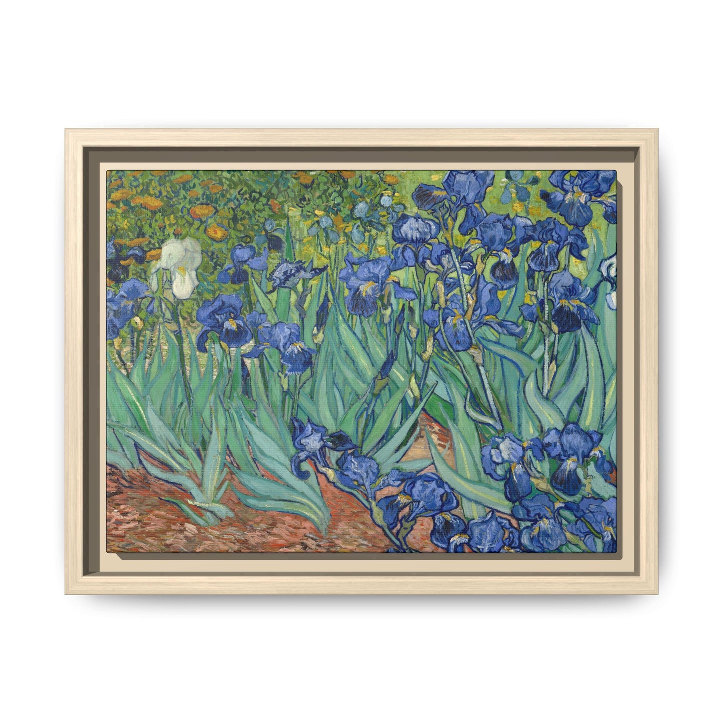 Van Gogh, Vincent - Irises (1889) - Matte Canvas, Framed