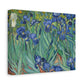 Van Gogh, Vincent - Irises (1889) - Canvas Block, unframed