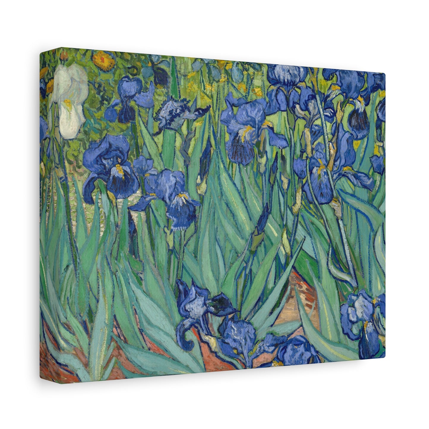 Van Gogh, Vincent - Irises (1889) - Canvas Block, unframed